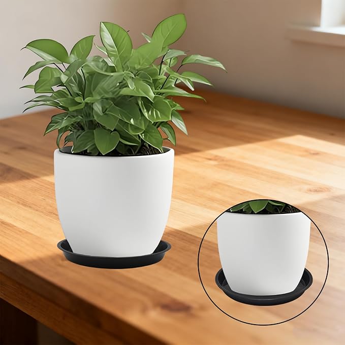 Round Plant Saucer 10 inch,6 Pack Pant Pot Trays, Plant Saucers for Indoors and Outdoors, Seed Starting Tray, Growing Trays,Black