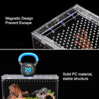 Reptile PC Terrarium 10.2" x 5.9" x 5.7" Full View Small Reptile Tank for Tarantula Insect Hermit Crab Spider Habitat Amphibians Enclosure