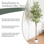 Olive Tree 6FT Fake Tree Faux Plants Indoor with Pot Artificial Tree Nearly Natural Olive Branches and Fruits for Living Room Home Office Decorations