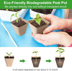 Baxrou 120 Pack 3.15 Inch Square Peat Pots for Seedlings, Seed Starting Pots with Drainage Holes Nursery Pot, Herb Seed Starter Pot Kits wit 30 Plant Labels, 2 Transplant Tools.