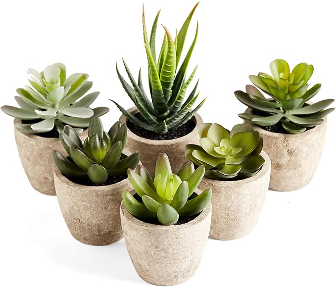 Artificial Succulents Plants Potted Set-Decorative Fake Succulent Plant Faux Plastic Plant Indoor &Outdoor for House Office Desk Bathroom Kitchen DIY Decor Gift Set of 6
