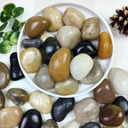 YISZM 10lbs Pebbles for Indoor Plants, 1-2 Inch Mixed Color High Polished River Rocks Outdoor Decorative Stones Vase Filler Fish Tank Aquariums Landscaping Garden Outdoor and Indoor DIY