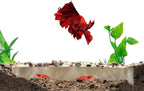 Shrimp Breeding Protector | Shrimp Breeding Cave Aquarium Tunnel | CTWPets (White)