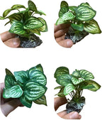 JGbaby Artificial Aquarium Plants,Fish Tank Decorations Betta Leaf Hammock 4in Realistic Silk & Plastic Plants, Hideout Decor for Betta. Goldfish,Reptiles,Small Tanks (Green Type-C)