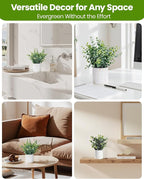 Taybonds Artificial Eucalyptus Plants in White Ceramic Pots, 2 Pack Faux Greenery Decor with Different Leaf Styles, Small Potted Plants for Shelf, Bathroom, Bedroom, Office Desk, 9.05" Tall