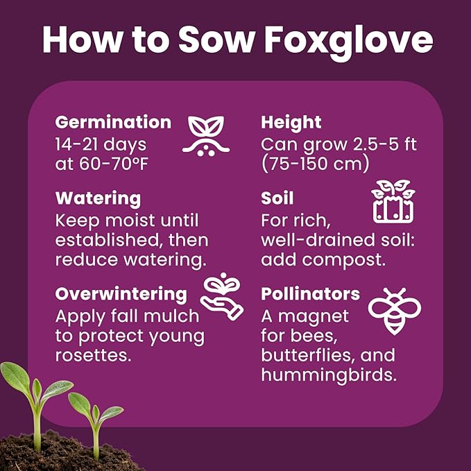 Foxglove Seeds Perennial – Mixed Colors, 200,000+ Seeds Bulk Pack for Easy-to-Grow Home Gardening, Tall Spire Blooms for Garden Borders, Attract Hummingbirds & Bees