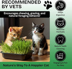Cat Grass Seeds for Growing | 4 Way Blend, Rye, Wheat, Oats and Barley | Made in USA, Ships from Iowa. (10 Pounds)