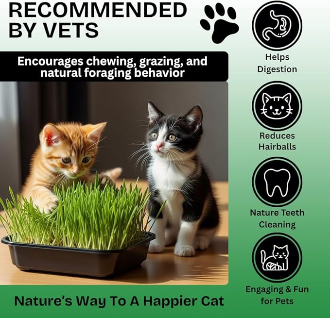 Cat Grass Seeds for Growing | 4 Way Blend, Rye, Wheat, Oats and Barley | Made in USA, Ships from Iowa. (25 Pounds)