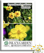 Lemon Yellow Sulphur Dwarf Cosmos Seeds (Cosmos sulphureus) – 100+ Heirloom Non-GMO Seeds by Isla’s Garden Seeds, Soft Yellow Compact Blooms, Pollinator-Friendly Summer Flowers for Beds & Containers