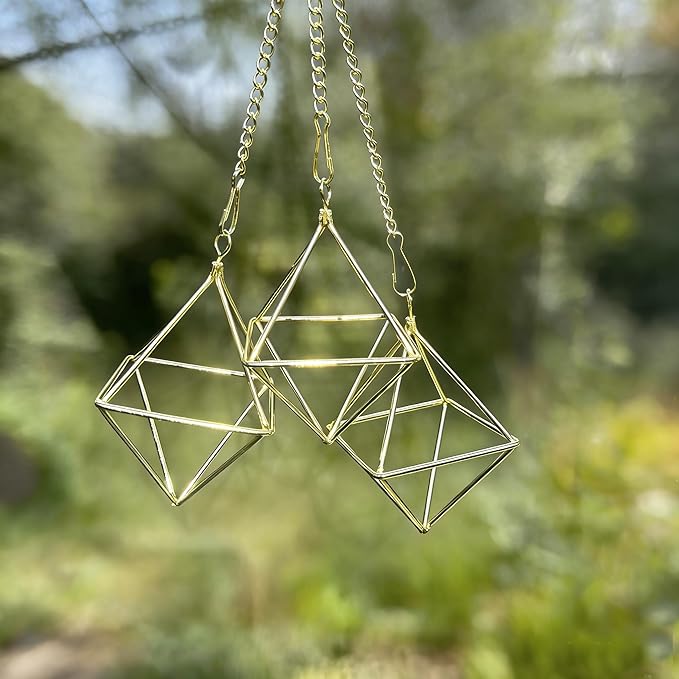 Gold Air Plant Holders with Chains, Set of 6 Geometric Hanging Planters with Removable Links for Wall Decor, Indoor Home Ceiling Display for Tillandsia, Ferns