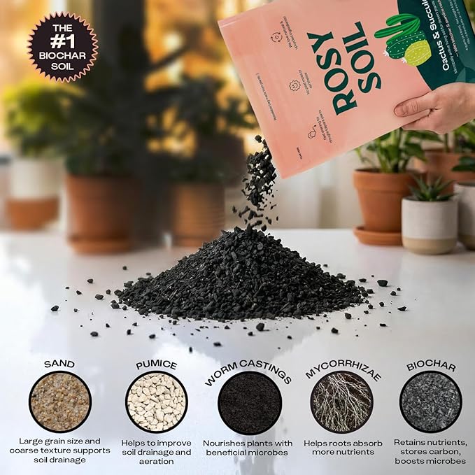 Rosy Soil Cactus and Succulent Potting Soil Mix for Houseplants - Fast Draining Organic Potting Soil for Succulents, AloeVera, Indoor Plant - Root Boosting for Drought Tolerant Growth, Pack of 2