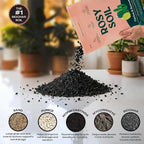 Rosy Soil Cactus and Succulent Organic Potting Soil Mix for House Plants - Fast Draining, Root Boosting, Peat-Free, Less Prone to Gnats - Drought-Tolerant -for AloeVera, Cacti, Indoor Succulents- 4qt