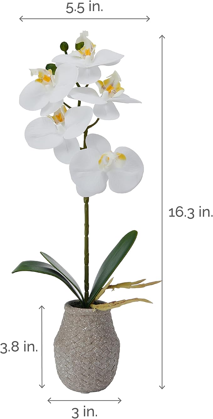 Mikasa Artificial Orchid in Pot, Real Touch Phalaenopsis Orchid, Embossed Weave Cement Pot, 16-Inch Single Branch, White/Yellow (Pack of 2)