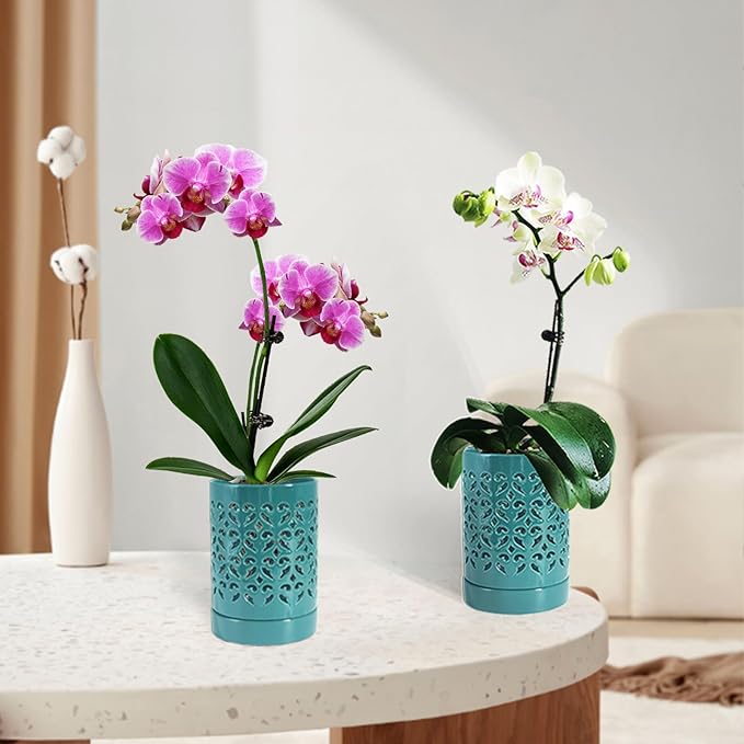 Orchid Pots with Holes 4 Inch 2 Pack, Ceramic Orchid Pot for Repotting with Saucers,More Ventilation Hole Easy Breathing, Plant Pot for Repotting Orchids and Other Flowers,Bullish Green