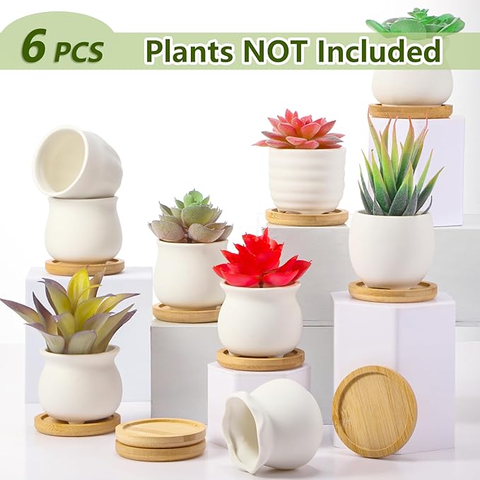 Remerry 2.5 Inch Mini Succulent Pots with Bamboo Tray White Ceramic Pots Color Your Own DIY Small Planters Containers for Flower Cactus with Drainage Hole for Plant Lover