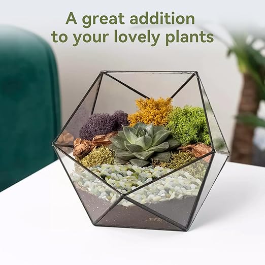Pulovin 5LB Succulent and Cactus Pebbles, 1/5 Inch Jade Pebbles for Indoor Plants, Decorative Gravel for Vases, Bamboo, Succulent, Terrarium, Crafts, Cactus