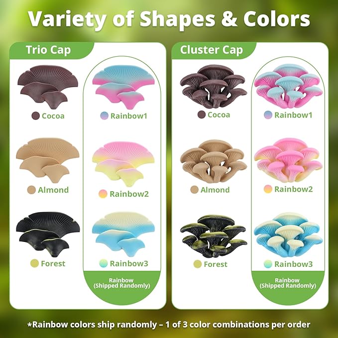 Westant Mushroom Decor for Reptile Tank, Fish Tank, Pet-Safe Bearded Dragon Tank Accessories, Realistic Terrarium Plants for Leopard Geckos, Frogs, Snakes (Rainbow Cluster Cap, Randomly Ship)