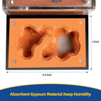 Formicarium - Ant Farm Habitat for Live Ants & Queen, Adult Educational Kit for Ant Behavior Study and Learning