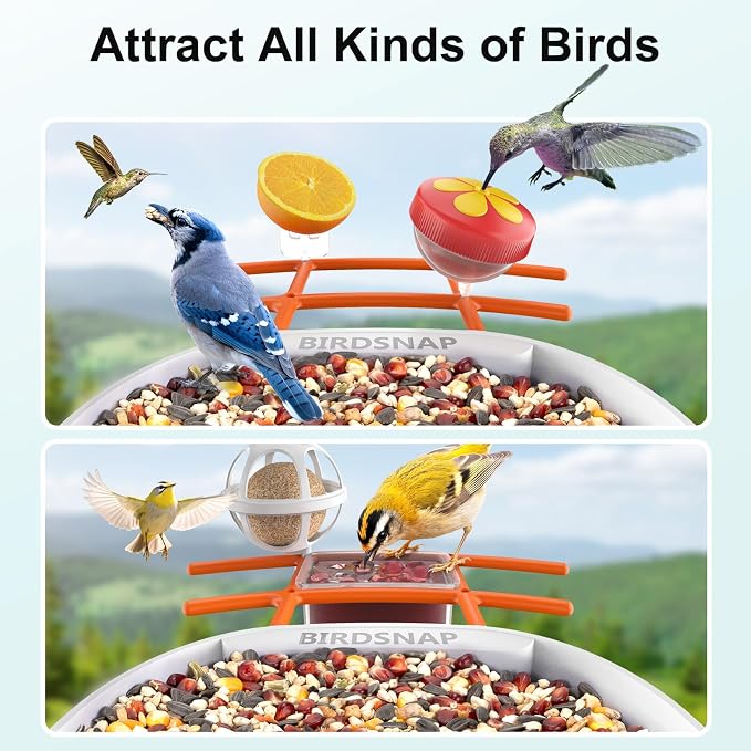 birdsnap® PAV-Bird Feeder with Camera,2K HD with 64GB Card, AI Identify Smart Bird House Cam Solar Panel,Live Stream,Motion Detection,Auto Record Video for Backyard Outdoors,Ideal Gift for Bird Lover