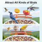 birdsnap® PAV-Bird Feeder with Camera,2K HD with 64GB Card, AI Identify Smart Bird House Cam Solar Panel,Live Stream,Motion Detection,Auto Record Video for Backyard Outdoors,Ideal Gift for Bird Lover