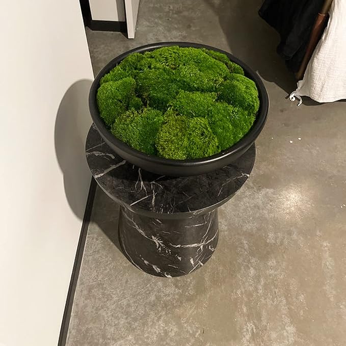 Preserved Pole Moss Pillow Bun Cushion Natural Green Decorative Real Natural Green DIY Kit Terrariums Gardenning Art Wall Decor Florist Decor Easter Table Decor Wedding(13.5 sq.ft., Green-B)