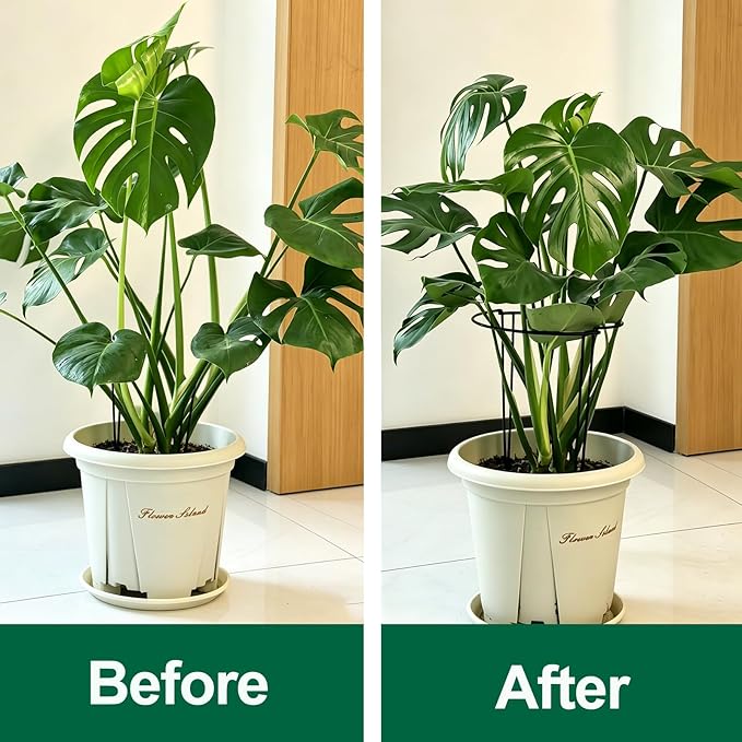Tall Heavy-Duty 24in Plant Support Stakes - 8 Pack Adjustable Peony Cages & Supports for Outdoor Plants, Half-Round Garden Stakes for Hydrangea, Roses with Extension Stakes