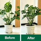 Tall Heavy-Duty 24in Plant Support Stakes - 16 Pack Peony Cages & Supports for Outdoor Plants, Half-Round Garden Stakes for Hydrangea, Roses with Extension Stakes