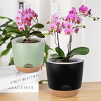 7.2 Inch Self Watering Orchid Pots for Indoor Plants,Macetas para Orqudeas,Flower Pots for Indoor Plants with Holes（Black）