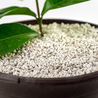 Gardenera Organic Perlite — Medium/Fine Grade Horticultural Soil Amendment for Indoor & Outdoor Container Plants for Drainage Management and Enhanced Growth (3 Quart)