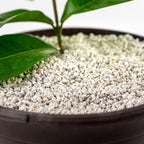 Premium Organic Perlite - (Made in Ukraine) Horticultural Soil Amendment for Indoor & Outdoor Container Plants for Drainage Management and Enhanced Growth - 1 Quart