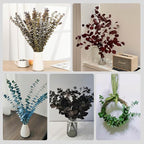 Tavkite 16 Pcs Dried Eucalyptus Stems, 17'' Natural Fresh Eucalyptus Leaves Branches Hanging for Shower, Preserved Real Yellow Plant Live for Home SPA Wall Bathroom Wedding Party Vase Decor