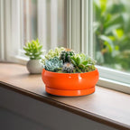 Succulent Planters 6 Inch - Small Bonsai Pots Ceramic, Succulent Pots with Drainage Hole and Saucer, Shallow Planters Indoor Outdoor, Round Cactus Pot, Office Decor, Gardening Gift, Orange