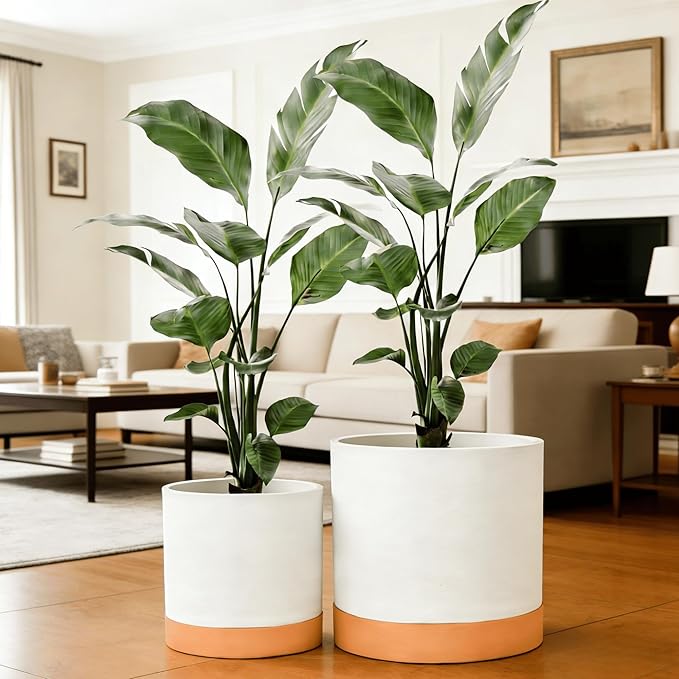 GreenShip 2pcs Plant pots, self Watering pots for Indoor Plants (White+Terracotta, 15.7in+13.7in)