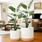 GreenShip 2pcs Plant pots, self Watering pots for Indoor Plants (White+Terracotta, 15.7in+13.7in)
