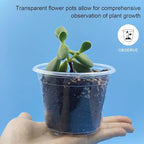 RooTrimmer Clear Seedling pots 100-Pack 3.2 Inches Round for Seeds Starter Pots, Seeds Germination Transparent Clean Pots with Drainage Holes(100 Pcs, 3.14Inch)