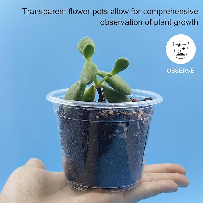 RooTrimmer Clear Seedling pots 100-Pack 3.2 Inches Round for Seeds Starter Pots, Seeds Germination Transparent Clean Pots with Drainage Holes(100 Pcs, 3.14Inch)