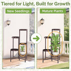 iDavosic.ly Plant Stand Indoor Outdoor, 5 Tier Corner Metal Flower Display Holder Shelf, Folding Tall Orchid Rack for Patio Balcony Porch Garden Living Room House, Violet Bronze