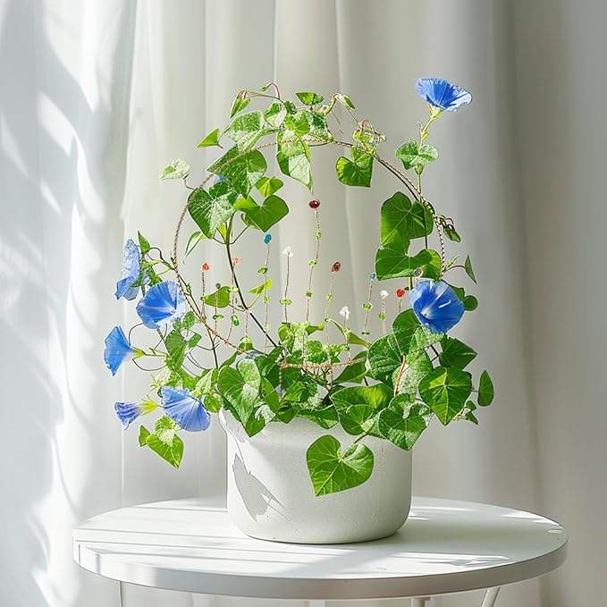 SNAIL GARDEN 2Pcs Small Trellis for Indoor Plants with Suncatcher Colorful Crystal, 9.8in Indoor Plant Trellis for Climbing Plants,House Plant Trellis for Potted Plants Hoya Ivy, Jasmine