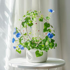SNAIL GARDEN 2Pcs Small Trellis for Indoor Plants with Suncatcher Colorful Crystal, 9.8in Indoor Plant Trellis for Climbing Plants,House Plant Trellis for Potted Plants Hoya Ivy, Jasmine