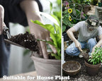 Doter Houseplant Potting Mix 10qt, Fertilized, Perlite Soil for All Types of Indoor House Plants and Tropical Plant