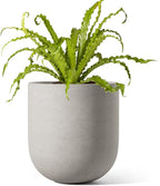 LE TAUCI 6 Inch Plant Pot, Ceramic Pot with Drainage Hole & Rubber Plug, Indoor Planter for Herbs & Small Houseplants, Cylinder Planter for Home Office, Neutral Gray