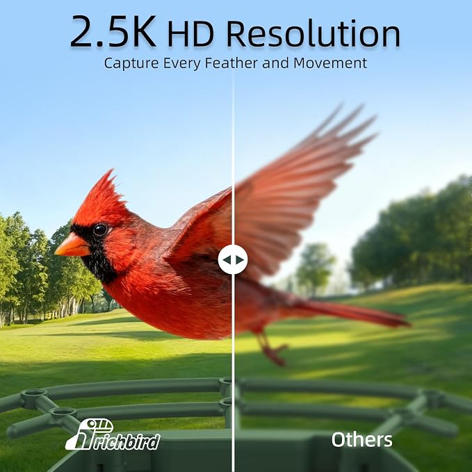 Smart Bird Feeder with 4MP HD Camera, Birdwatching Camera with Free AI Identify Birds & Solar Panel for Outdoors, Auto Video Capture & Instant Notifications,for Dad Granpa Birdlovers,Green