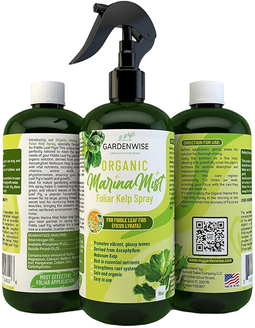 GARDENWISE Organic Marina Mist Foliar Spray for Fiddle Leaf Fig and Other Ficus Trees | Micro Nutrients for Vital Health | Gentle Formula | Liquid Plant Food | Quick Results | Ready to Use (8 OZ)