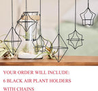 Geometric Air Plant Hanger 6 Pack Black Metal, 3 Shapes & 2 Sizes with Detachable Chains, Modern Himmeli Wall Hanging Planter for Tillandsia Indoor Home Decor