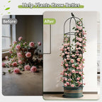 Square Tomato Cages for Garden, 6.2 FT Cucumber Trellis for Flowers, Grape, Pea, Rose, Bean, Rustproof Plastic Coated Metal Plant Support for Potted Plants Indoor Outdoor- 1PC Obelisk Trellis