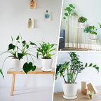 Ceramic Plant Pots,4+5+6 Inch Pots for Indoor Plants,Planters with Drainage Holes and Ceramic Tray, Indoor Flower Pots Gardening Home Desktop Office Windowsill Decoration Gift,Set of 3 (White)