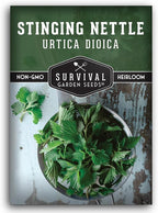 Stinging Nettle Seeds for Planting - Urtica Dioica Medicinal Herb & Edible Perennial - Common Nettle for Tea, Cooking & Wellness - Heirloom Non-GMO - Survival Garden Seeds (1 Pack)