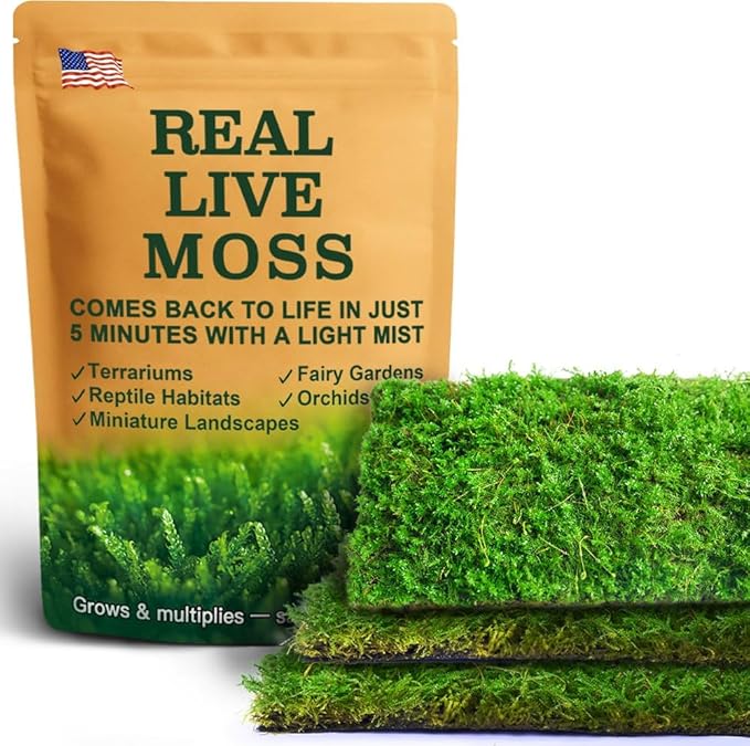 Real Live Moss for Terrariums,Jumping Spider, Reptile Habitats & Mini Landscapes – Naturally Cultivated Live Moss, Revives in 5 Minutes with Water Mist, Grows & Multiplies (3 Sheets, 3.5”x7”)