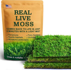 Real Live Moss for Terrariums,Jumping Spider, Reptile Habitats & Mini Landscapes – Naturally Cultivated Live Moss, Revives in 5 Minutes with Water Mist, Grows & Multiplies (3 Sheets, 3.5”x7”)