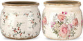 2 Pcs Vintage Planter Ceramic Plants Pot with Drainage Ice Crack Scroll Flower Vase Pot for Indoor Outdoor Plants Home Kitchen Decor Gifts(Farmhouse Rose,5.9")